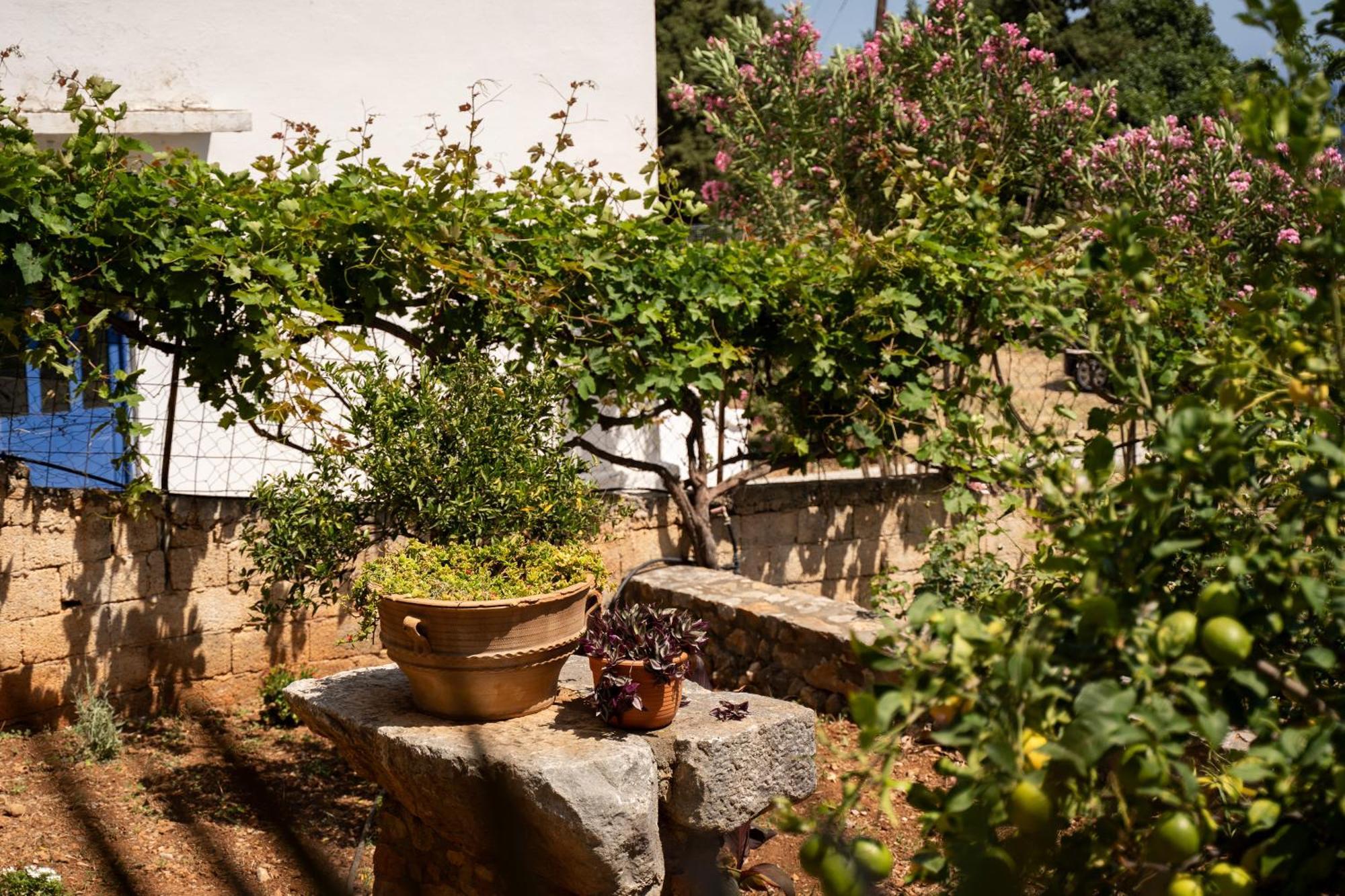 Ferienwohnung Artemisa House Agia Roúmeli Exterior foto